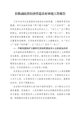 在推动民营经济营造良好环境工作报告