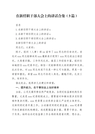 在新任职干部大会上的讲话合集（3篇）