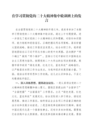 在学习贯彻党的二十大精神集中轮训班上的发言
