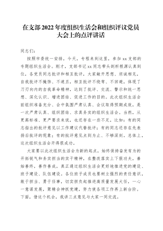 在支部2022年度组织生活会和组织评议党员大会上的点评讲话