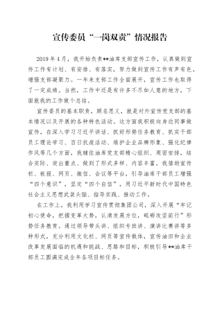 宣传委员“一岗双责”情况报告