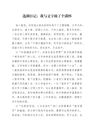 选调日记：我与文字撞了个满怀