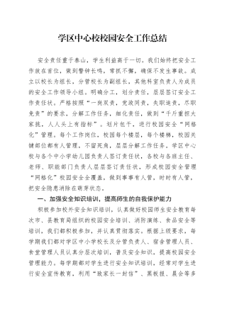 学区中心校校园安全工作总结