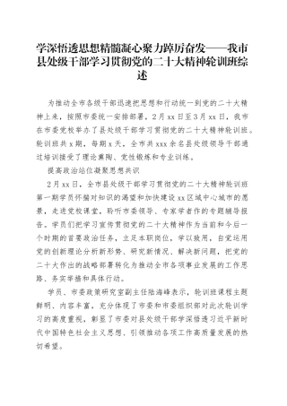 学深悟透思想精髓凝心聚力踔厉奋发——我市县处级干部学习贯彻党的二十大精神轮训班综述（20230227）