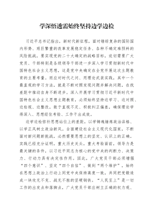 学深悟透需始终坚持边学边检