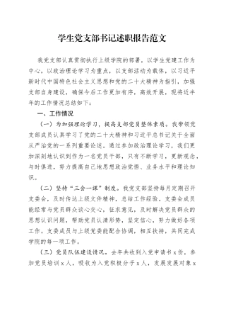 学生党支部书记述职报告（1）