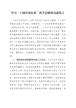 学习二十届中央纪委二次全会精神交流发言