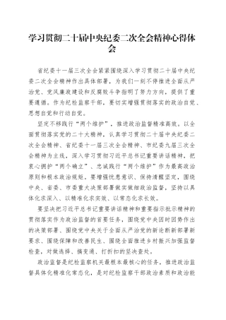 学习贯彻二十届中央纪委二次全会精神心得体会