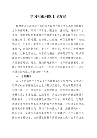 学习检视问题工作方案