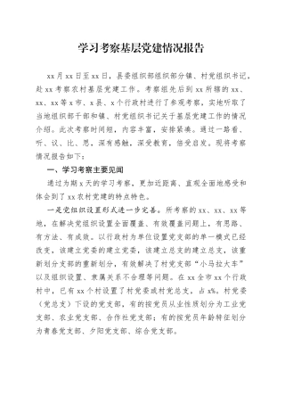 学习考察基层党建情况报告