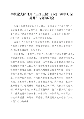 学校党支部召开“三抓三促”行动“抓学习促提升”专题学习会