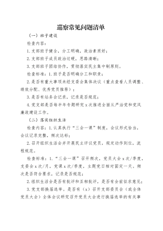 巡察常见问题清单