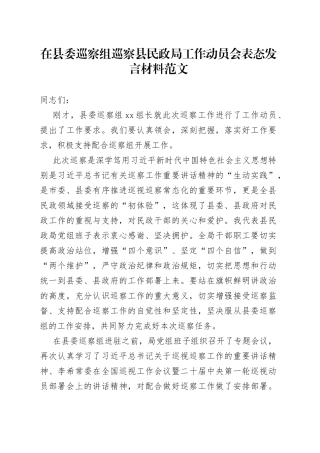 巡察民政局工作动员会议表态发言材料