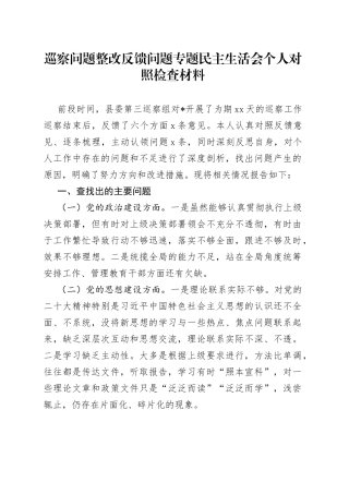 巡察问题整改反馈问题专题民主生活会个人对照检查材料