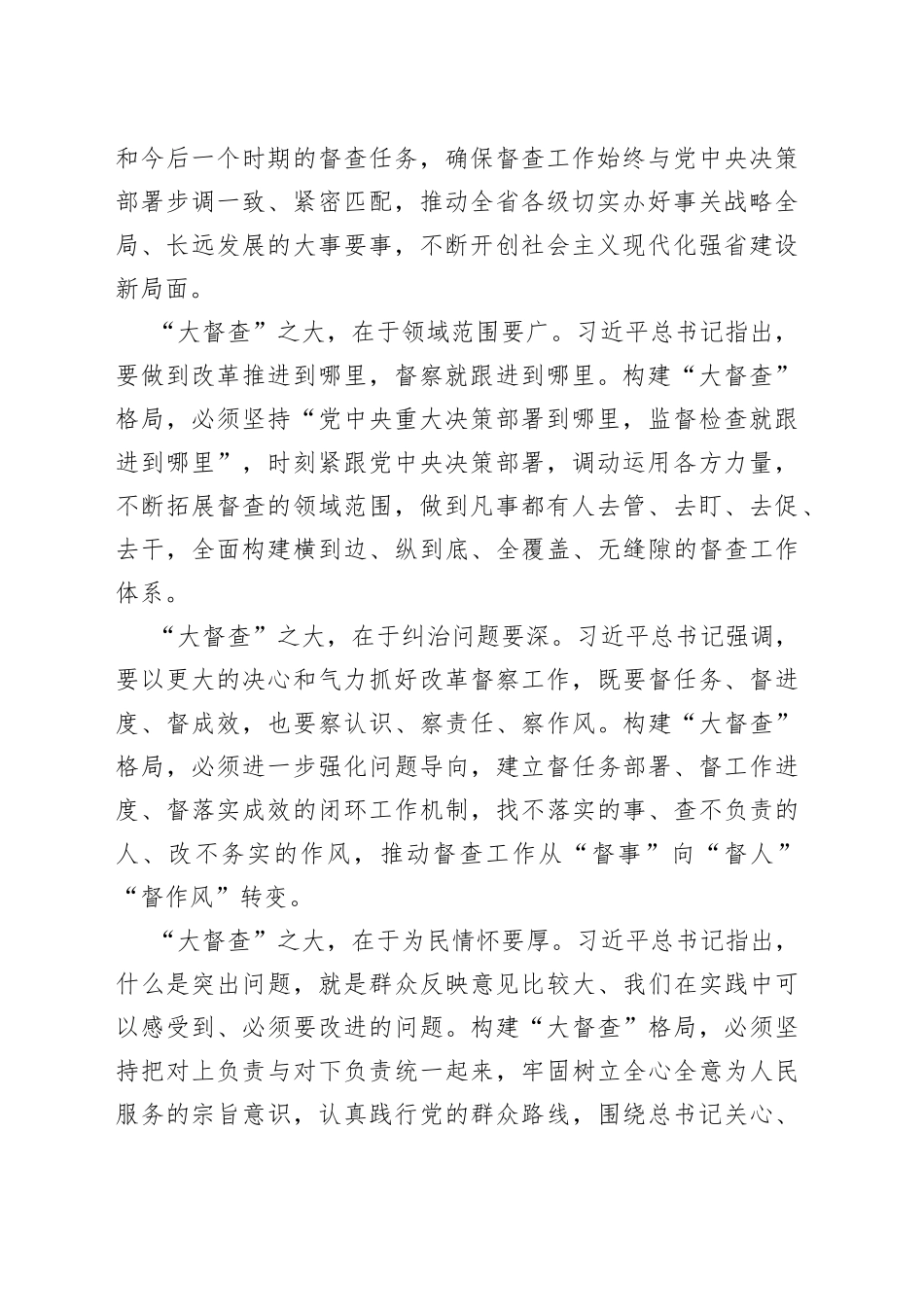 研讨发言：以大督查促大落实_第2页