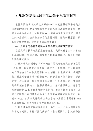 央企党委书记民主生活会个人发言材料