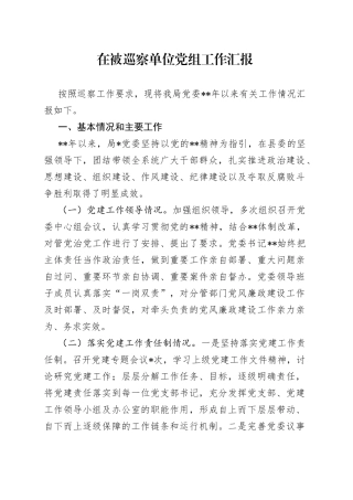 在被巡察单位党组工作汇报