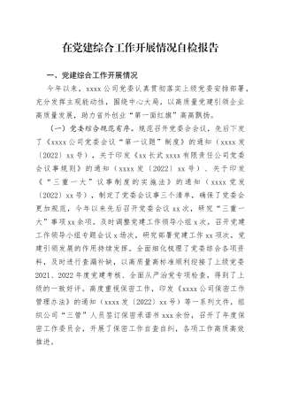 在党建综合工作开展情况自检报告