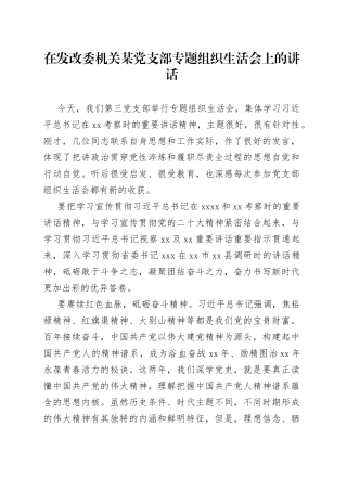 在发改委机关某党支部专题组织生活会上的讲话