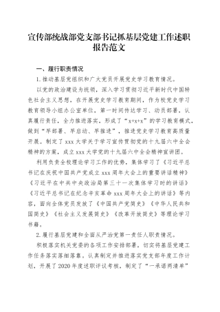 宣传部统战部党支部书记抓基层党建工作述职报告