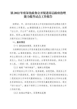镇2022年度深化政务公开促进基层政府治理能力提升试点工作报告