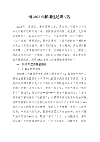镇2022年抓团建述职报告
