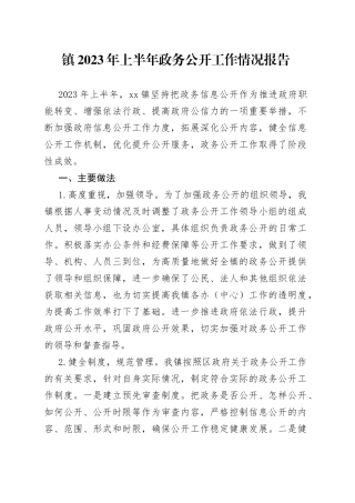 镇2023年上半年政务公开工作情况报告（20230518）