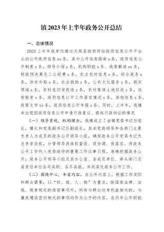 镇2023年上半年政务公开总结（20230509）