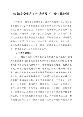 镇安全生产工作总结及下一步工作计划