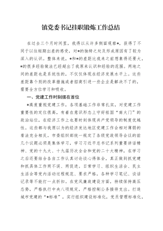 镇党委书记挂职锻炼工作总结