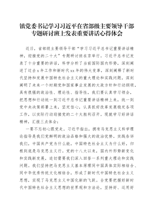 镇党委书记学习习近平在省部级主要领导干部专题研讨班上发表重要讲话心得体会