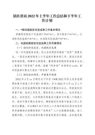 镇扶贫站2022年上半年工作总结和下半年工作计划