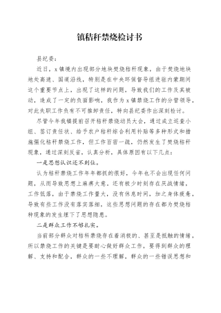 镇秸秆禁烧检讨书