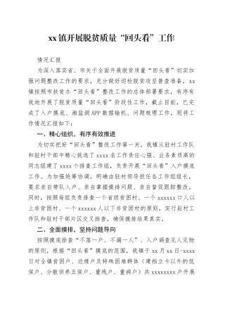 镇脱贫攻坚质量“回头看”工作情况汇报