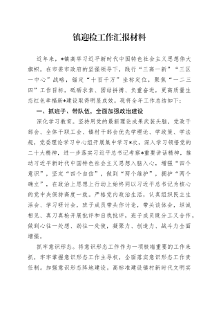 镇迎检工作汇报材料