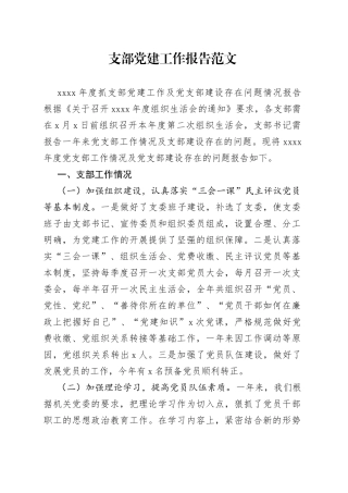 支部党建工作报告问题整改措施总结汇报