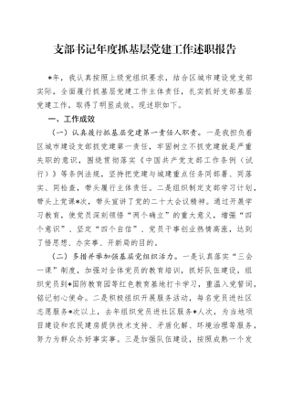 支部书记年度抓基层党建工作述职报告