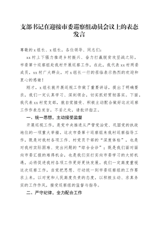 支部书记在迎接市委巡察组动员会议上的表态发言