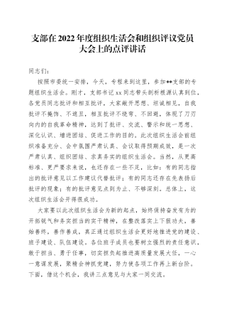 支部在2022年度组织生活会和组织评议党员大会上的点评讲话