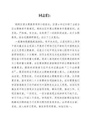 指导组长在全区主题教育专题推进会议上的讲话