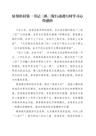 驻帮扶村第一书记三抓三促行动进行时学习心得感悟
