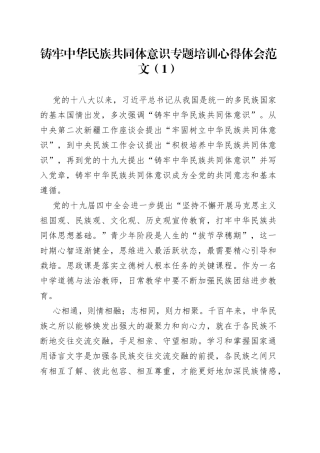 铸牢民族共同体意识培训心得体会3篇