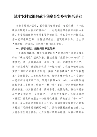 筑牢农村党组织战斗堡垒 夯实乡村振兴基础