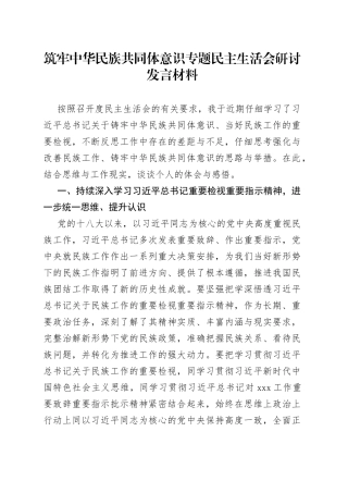 筑牢中华民族共同体意识专题民主生活会研讨发言材料