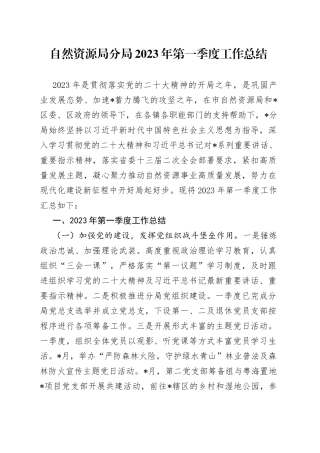 自然资源局分局2023年第一季度工作总结