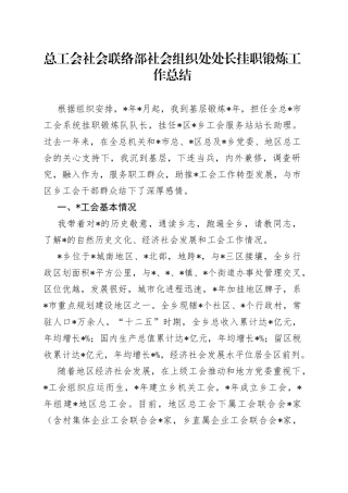 总工会社会联络部社会组织处处长挂职锻炼工作总结