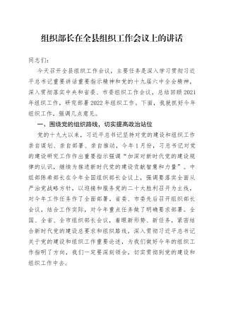 组织部长在2022年全县组织工作会议上的讲话