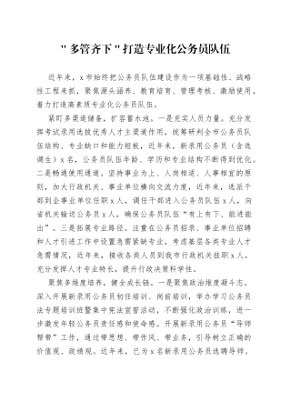 ＂多管齐下＂打造专业化公务员队伍