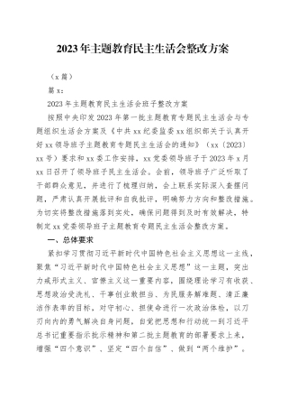 （2篇） 2023年主题教育民主生活会整改方案