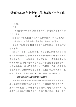 （3篇）供销社2023年上半年工作总结及下半年工作计划